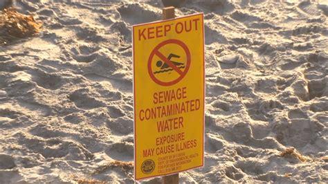 san diego list crawlers|High bacteria levels prompt water contact closures at .